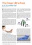 Page: - 4 | The American Chiropractor