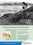 Page: - 7 | The American Chiropractor