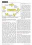 Page: - 20 | The American Chiropractor