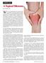 Page: - 74 | The American Chiropractor