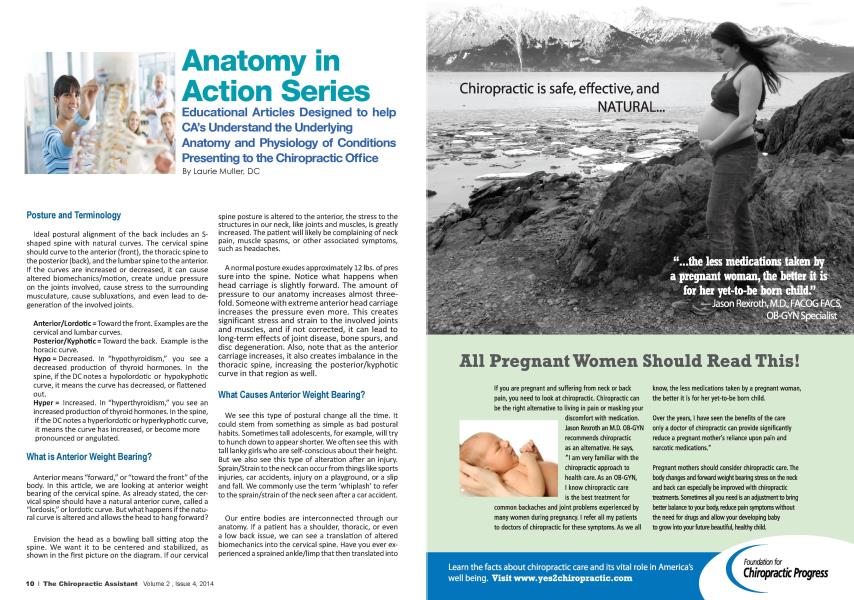 Anatomy in Action Series