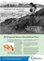 Page: - 15 | The American Chiropractor