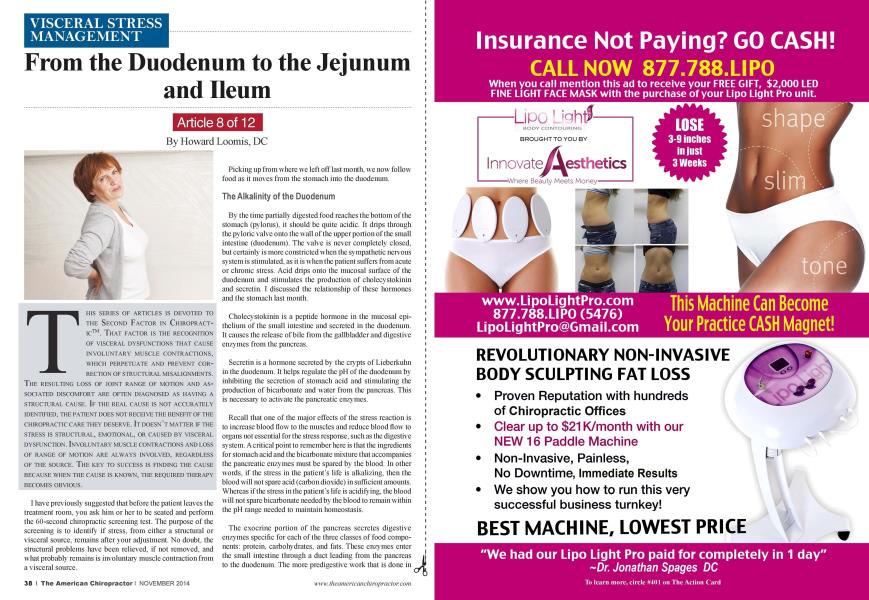 From the Duodenum to the Jejunum and Ileum