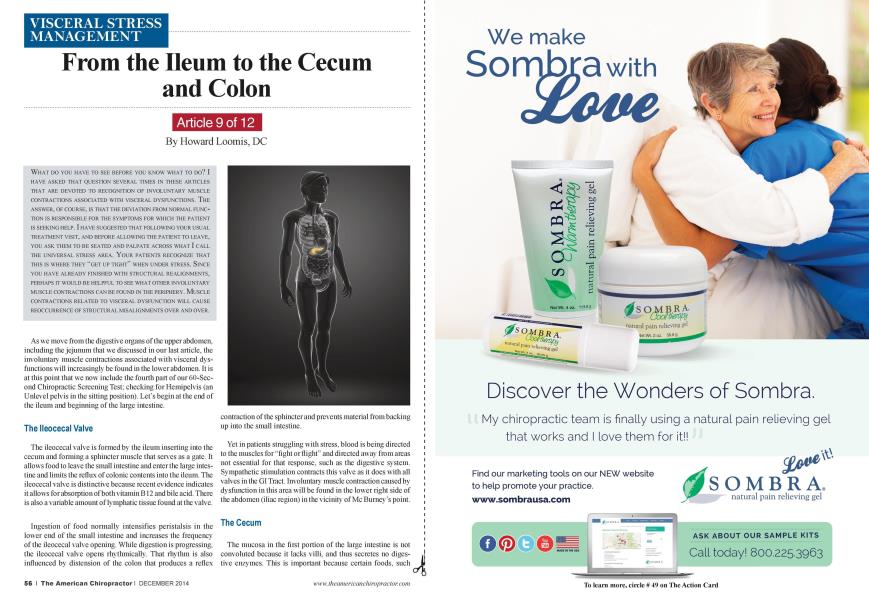 From the Ileum to the Cecum and Colon