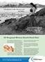 Page: - 11 | The American Chiropractor