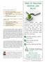 Page: - 5 | The American Chiropractor