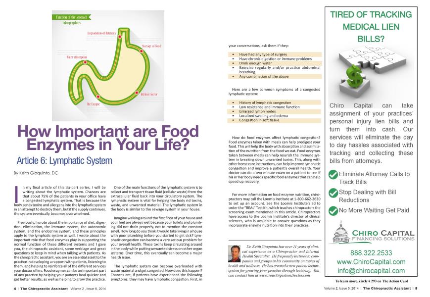 How Important are Food Enzymes in Your Life?