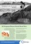 Page: - 13 | The American Chiropractor
