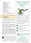 Page: - 5 | The American Chiropractor