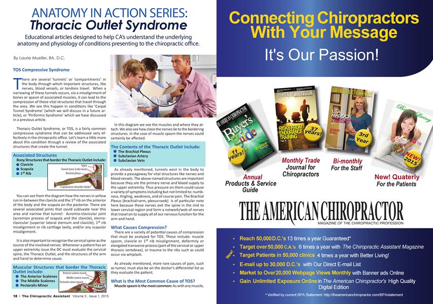 ANATOMY IN ACTION SERIES: Thoracic Outlet Syndrome
