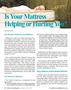 Page: - 22 | The American Chiropractor