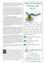 Page: - 21 | The American Chiropractor