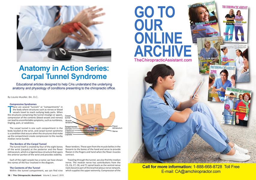 Anatomy in Action Series: Carpal Tunnel Syndrome