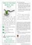 Page: - 18 | The American Chiropractor