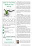 Page: - 16 | The American Chiropractor