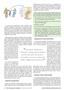 Page: - 8 | The American Chiropractor