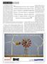 Page: - 14 | The American Chiropractor