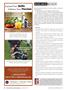 Page: - 20 | The American Chiropractor