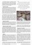 Page: - 12 | The American Chiropractor