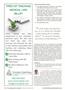Page: - 18 | The American Chiropractor