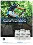Page: - 23 | The American Chiropractor