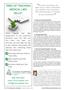 Page: - 10 | The American Chiropractor
