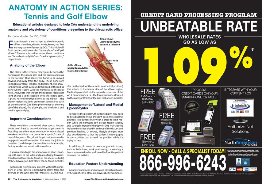 ANATOMY IN ACTION SERIES: Tennis and Golf Elbow