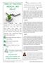 Page: - 10 | The American Chiropractor