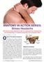 Page: - 12 | The American Chiropractor