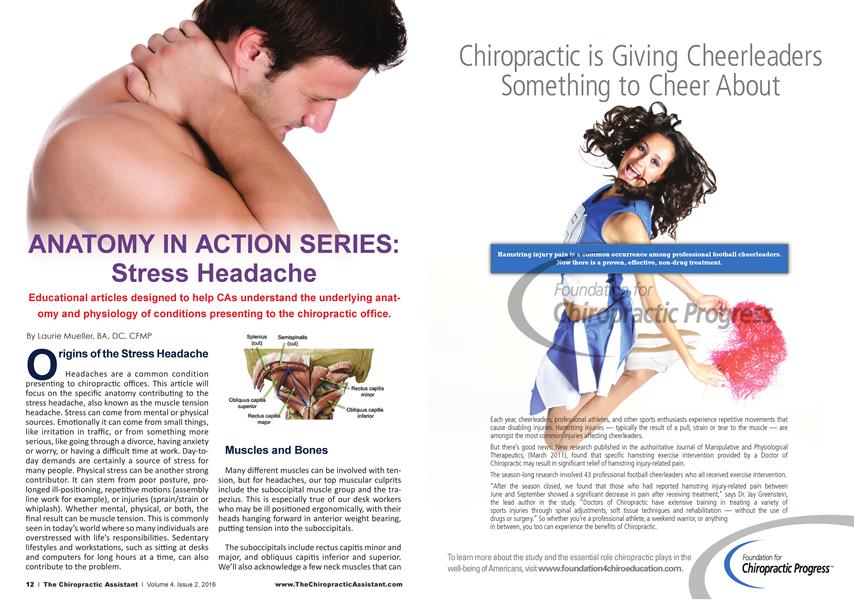 ANATOMY IN ACTION SERIES: Stress Headache