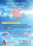 Page: - 27 | The American Chiropractor