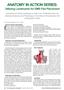 Page: - 20 | The American Chiropractor
