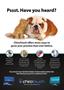 Page: - 26 | The American Chiropractor