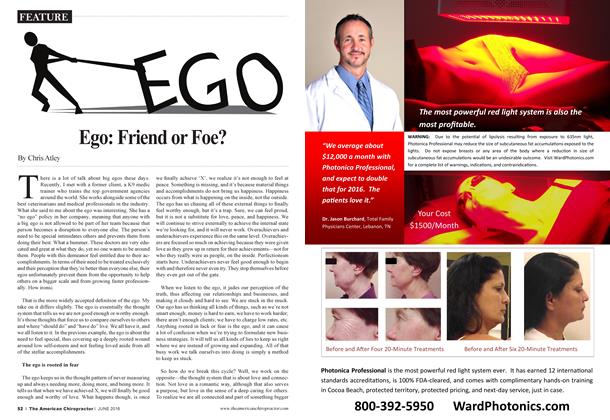 Ego: Friend or Foe?