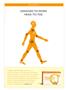 Page: - 1 | The American Chiropractor