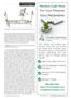 Page: - 33 | The American Chiropractor