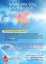 Page: - 17 | The American Chiropractor