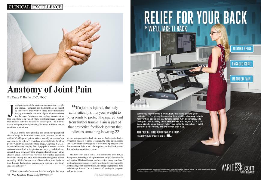 Anatomy of Joint Pain