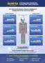 Page: - 29 | The American Chiropractor