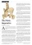 Page: - 40 | The American Chiropractor