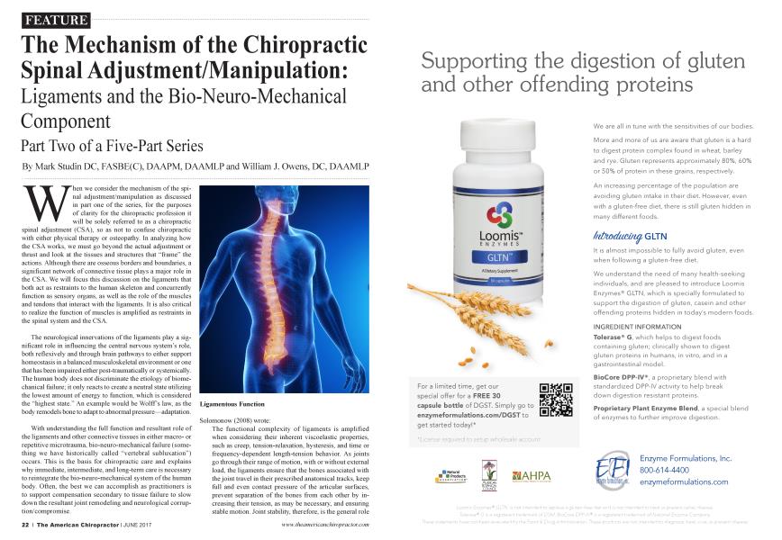 The Mechanism of the Chiropractic Spinal Adjustment/Manipulation: