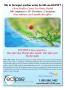 Page: - 31 | The American Chiropractor