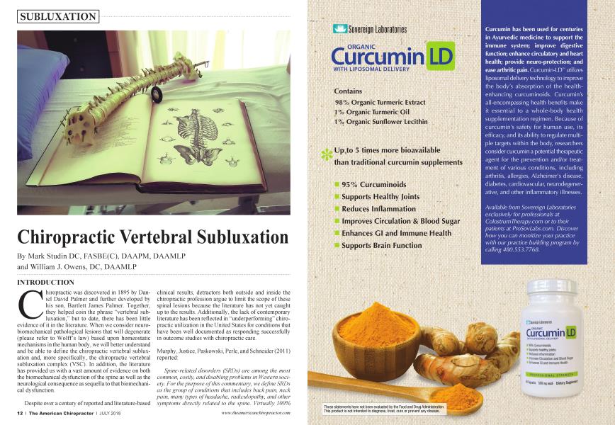 Chiropractic Vertebral Subluxation
