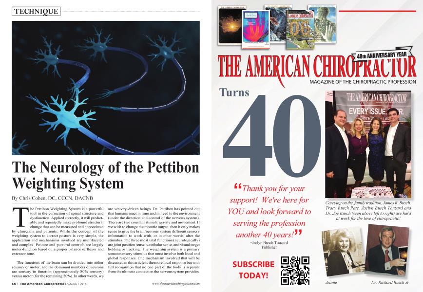 The Neurology of the Pettibon Weighting System
