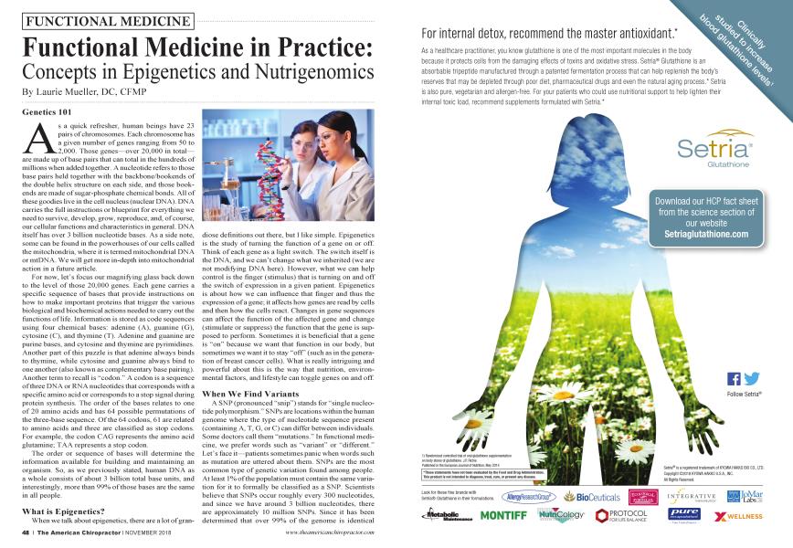 Functional Medicine in Practice: Concepts in Epigenetics and Nutrigenomics