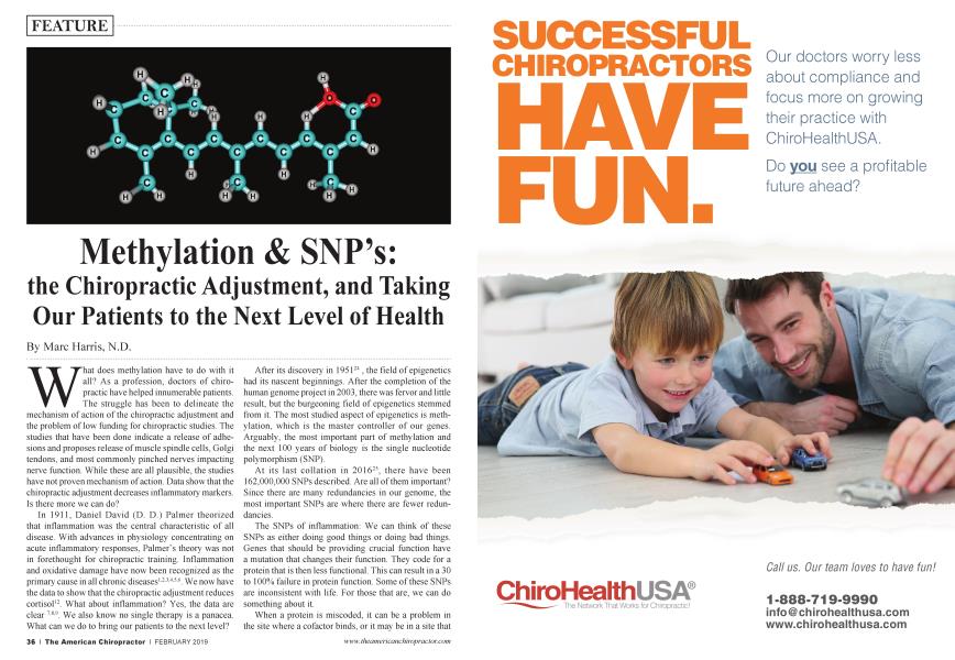 Methylation & SNP’s: the Chiropractic Adjustment, and Taking Our Patients to the Next Level of Health