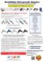 Page: - 13 | The American Chiropractor