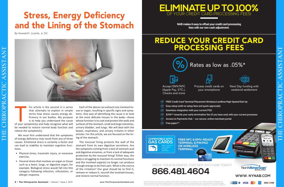 Stress, Energy Deficiency and the Lining of the Stomach