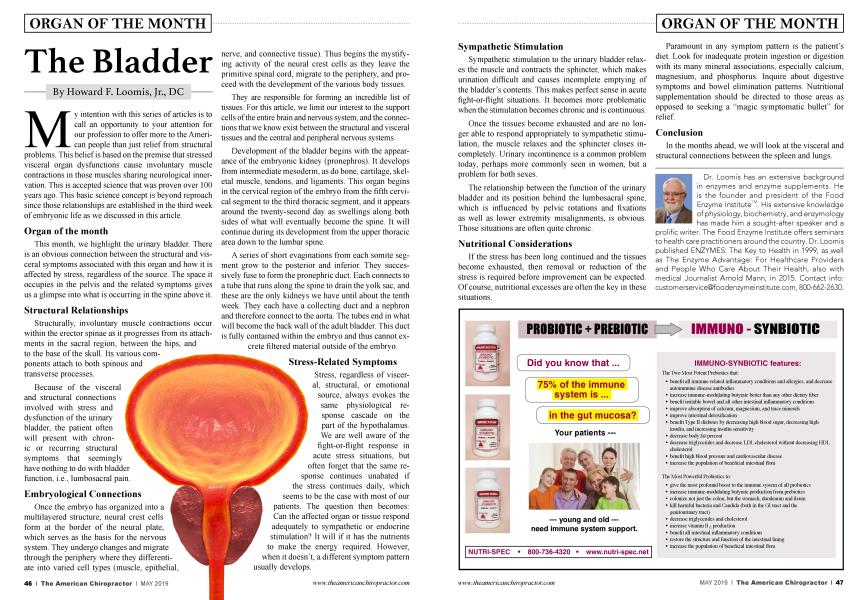 The Bladder