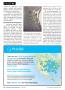 Page: - 24 | The American Chiropractor